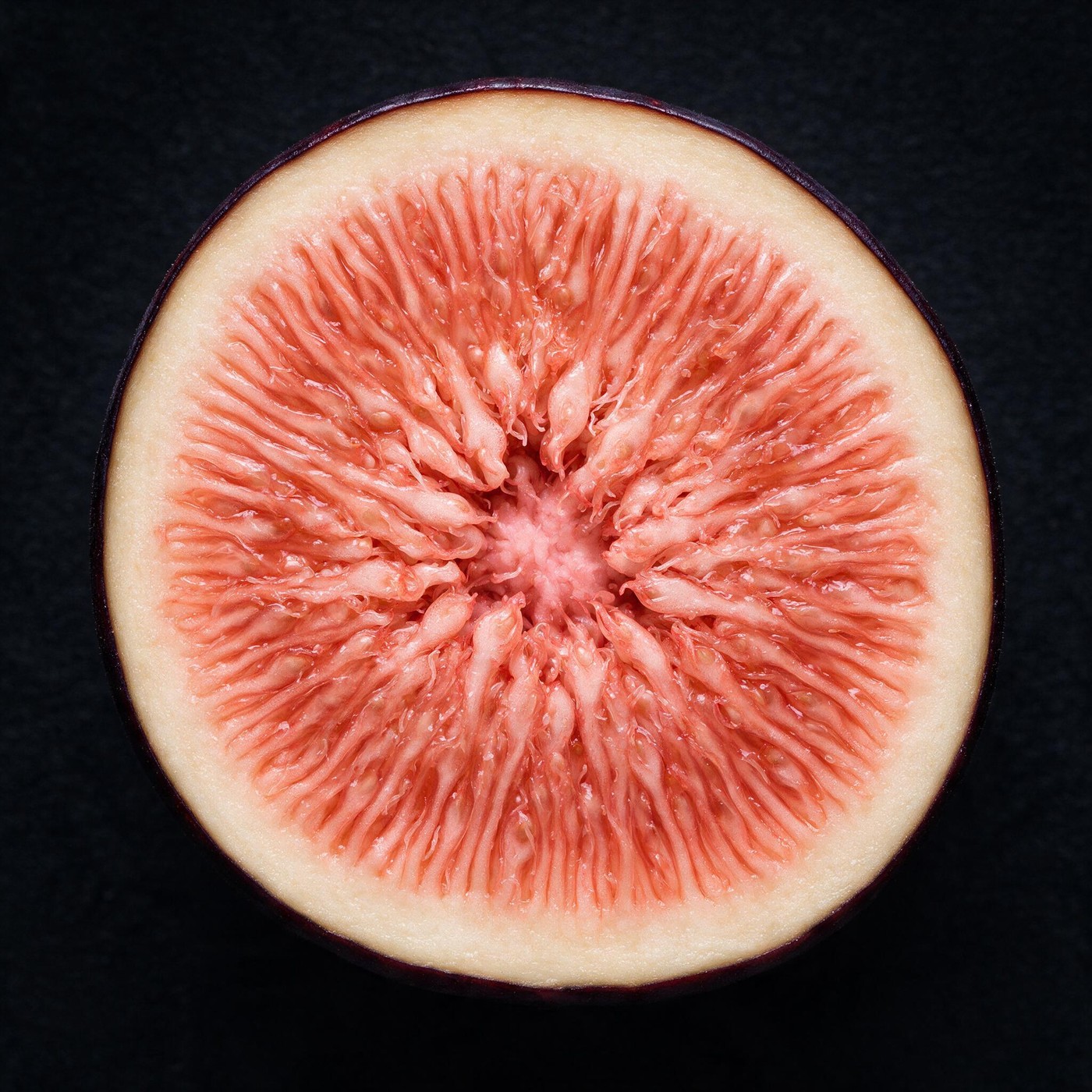 A fig cut in half in extreme close-up: hundreds of tiny inward-facing flowers filling the chamber